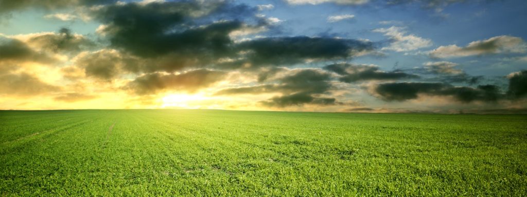 About why header Horizon AG Products